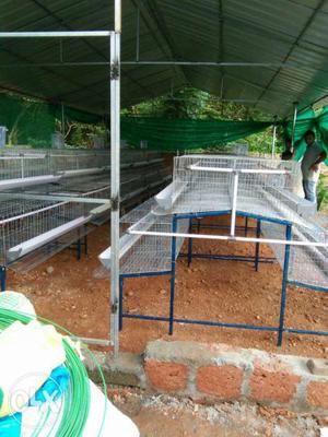 Hi tech Poultry Farm setting company Flywell.