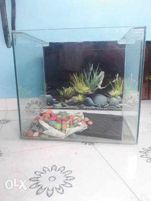 Only fish tank with lenght 1.6 ft hight 1.5 ft