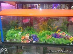 Orange And Blue Framed Fish Tank