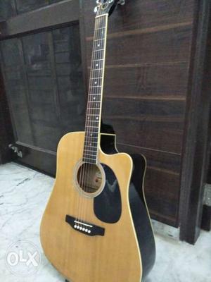 Pluto acostic Guitar in excellent condition