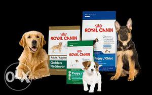 Royal Canin Dog Food 21% Off | Wholesale Price | For