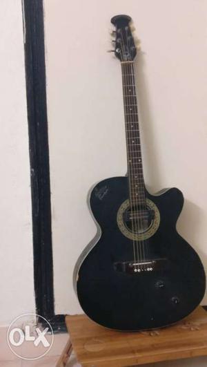 Signature acoustic guitar; brand new set of