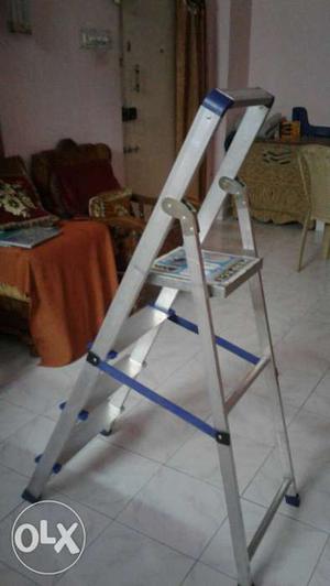 Silver And Blue Steel Ladder