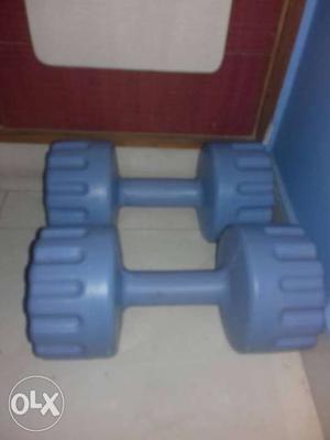 Two Blue Fixed-weight Dumbbells