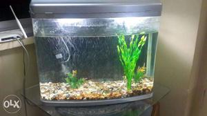 Used imported fish tank