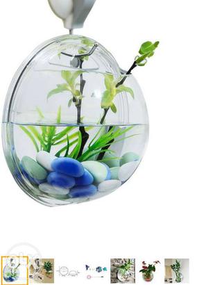 Wall hanging fish bowl