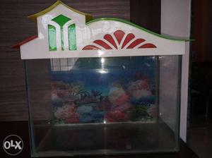 White And Red Framed Aquarium with air pump, fish food and
