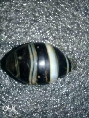 Black And White Shell