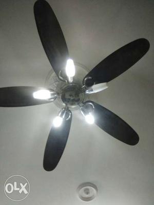 Fan with lights and remote control