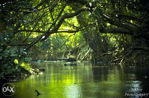 Green River Photo