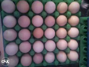 Kadakanath eggs 180 per dozen. 15 Rs.serious buyer can