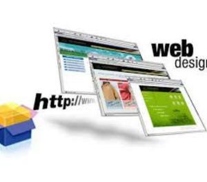 Top website designing company in Pune-Cerebrum Consultant