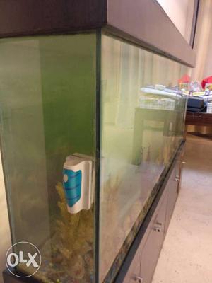 31x75'' aquarium with 21x77'' base cabinets which