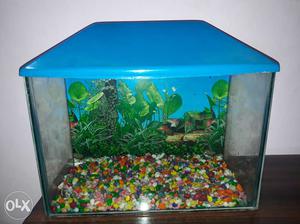 Aquarium for sell