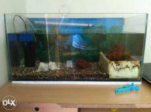 Aquarium tank(1.5w x 1h) with filter, motor,