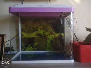 Automatic Filter Fish Aquarium, 4 months old in a