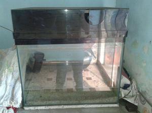 Clear Glas Fish Tank