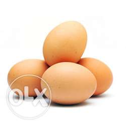 Desi Chicken's eggs (120 Rs per Dozen)