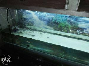 Fish Aquarium in good condition. Price negotiable
