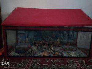 Fish aquarium on wholesale rate