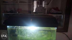 Imported u shape fish tank, top with stand,