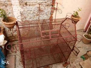 Large cage for birds.want to sell anyone want.