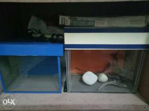 Tow fish tank and caver and light new looking