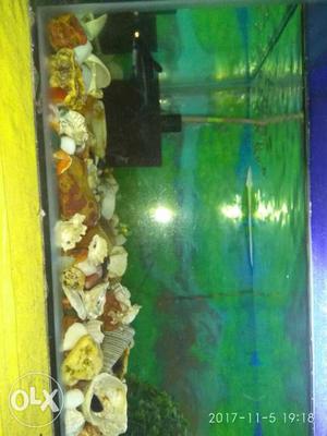 Very nice fish tank
