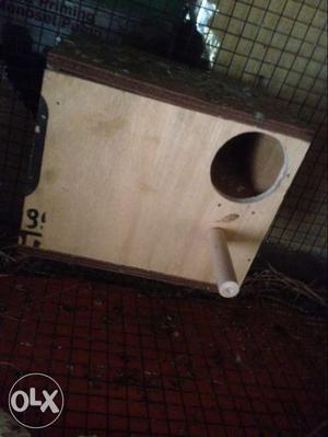 Wooden bird box