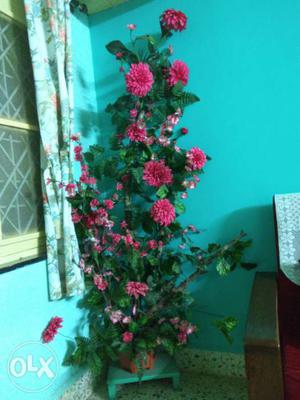Elegant Flower pot, it's 6' feet tall