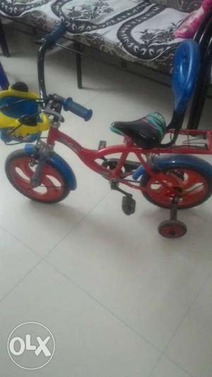 Toddler's Multicolored Bicycle