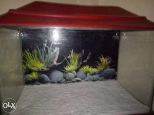 2 foot aquarium 2 month old in new condition with