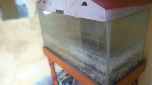 3×1.5 feet fish tank