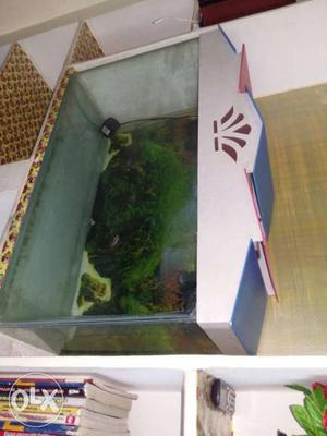Aquarium for sale.lite. filter water..and heater