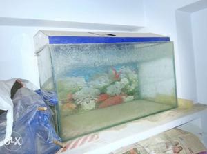 Best in condition 2.5 feet *1 feet tank.with