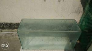 Big fish tank