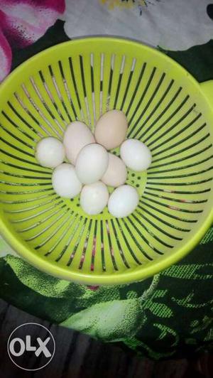 Fancy hen egg_white silver price 20 phone number