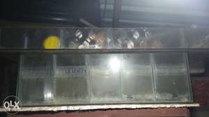 Fish Tank for sale