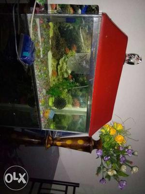 Fish aquarium with oxygen pump and fish food
