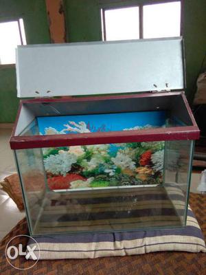 Fish tank,White small Stone. Offer urgent sell offer only
