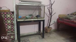 Fish tank with stand,filter,heater,stone and