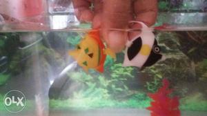 Floating fish toy and plants for sale