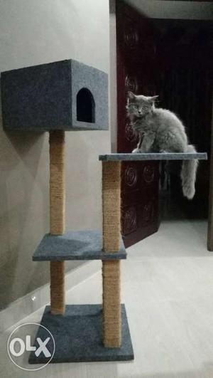 Gray And Brown Cat Tree