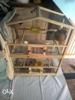 Hi guys I have cage for sale if any buddy