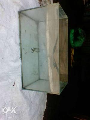 My fish tank