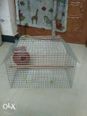 New stock 1 pair cage for birds fixed price
