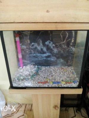 Nice fish tank with stand and stones