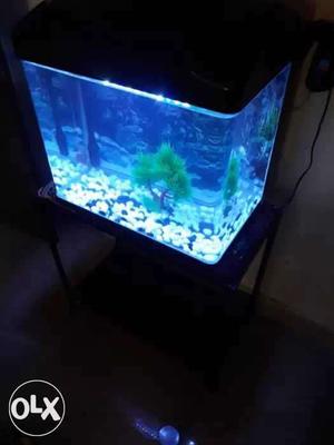 Rectangular Black Framed Fish Tank