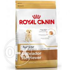 Royal Canin Labrador Junior 12 kg Flat 15% Discounts