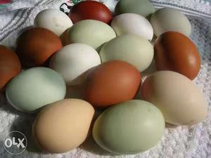 Brown, White And Green Eggs